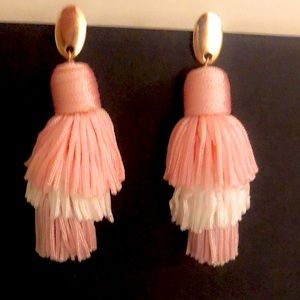 Tassel earnings